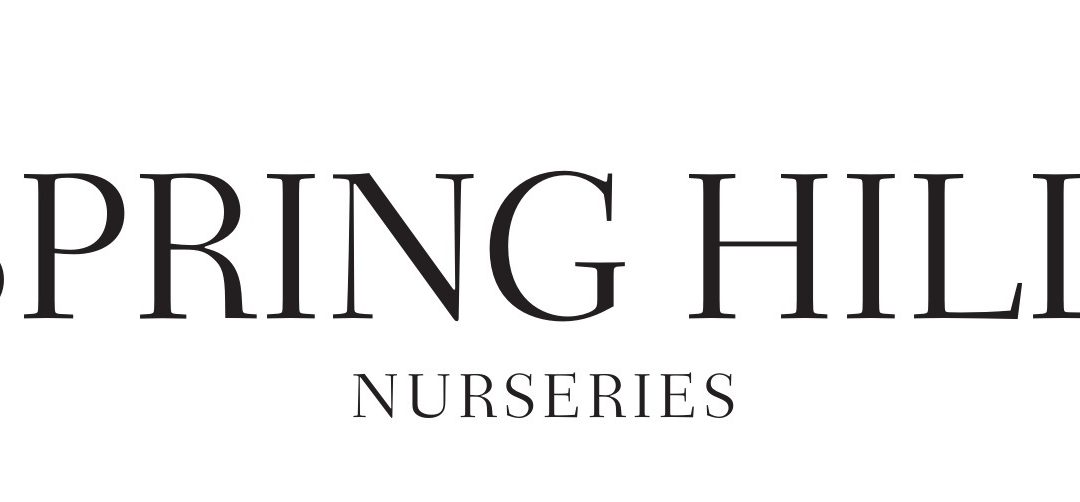 Spring Hill Nurseries: Overview- Spring Hill Nurseries Products, Customer Service, Benefits, Features And Advantages Of Spring Hill Nurseries And Its Experts Of Spring Hill Nurseries.